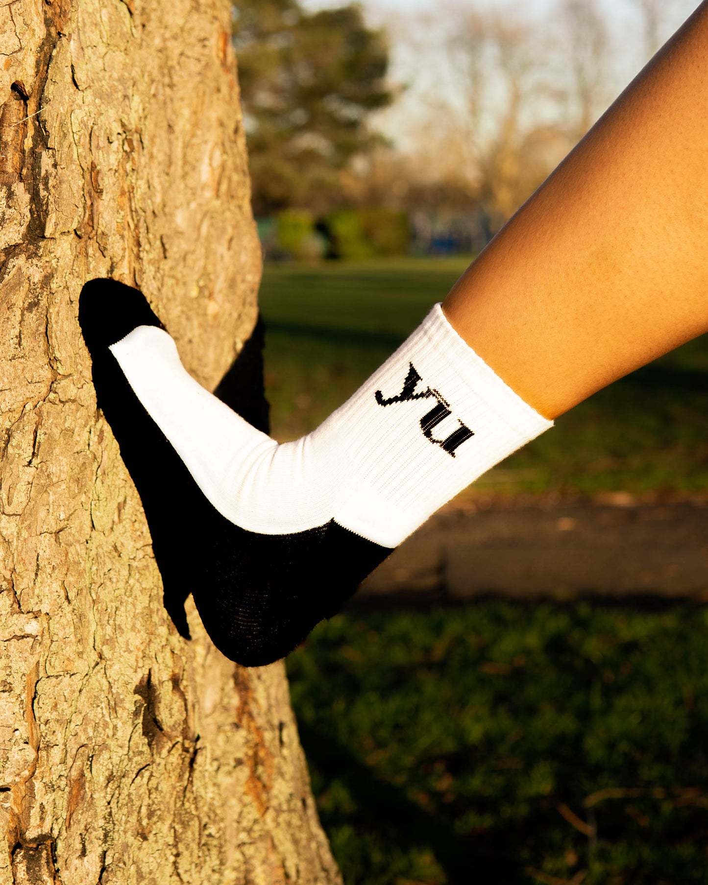 All Walks of Life Socks